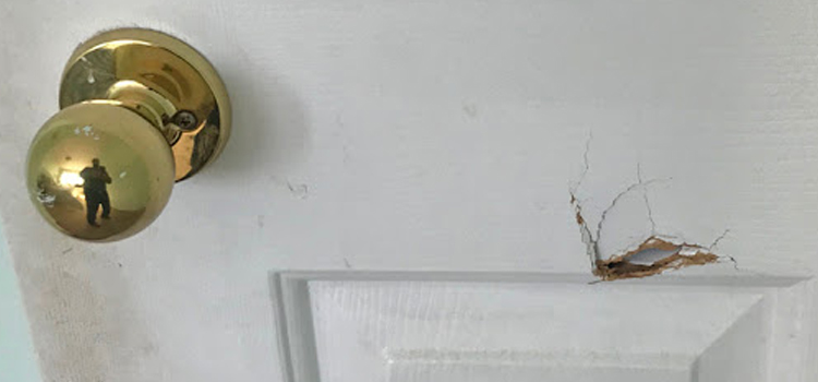 interior door hole repair Florin